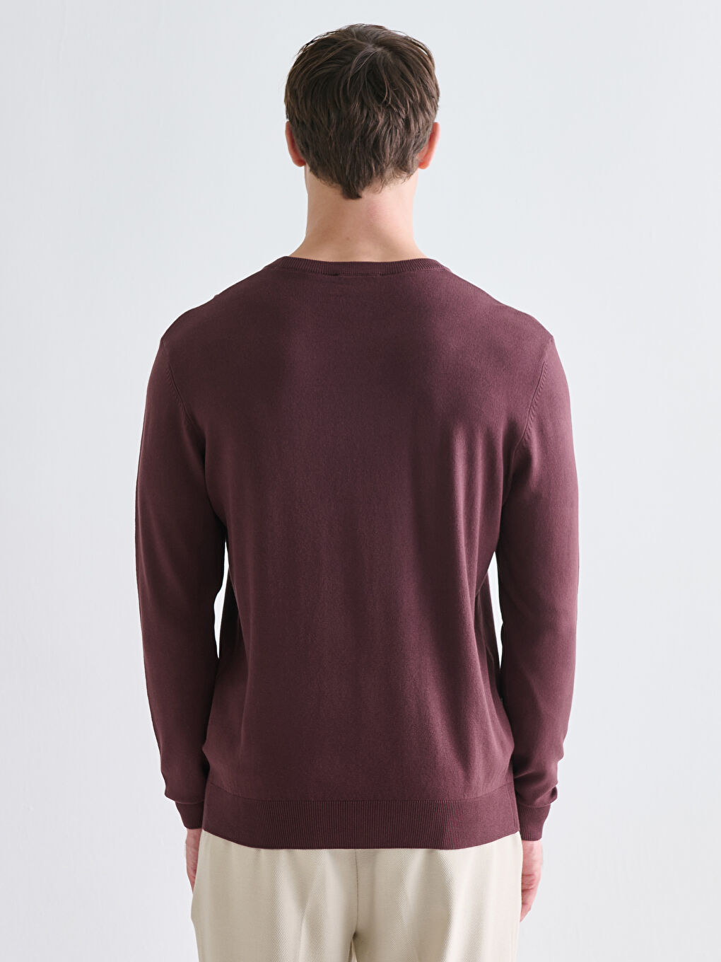 LCWAIKIKI Classic Crew Neck Long Sleeve Men's Tricot Sweater -W52459Z8-HEN