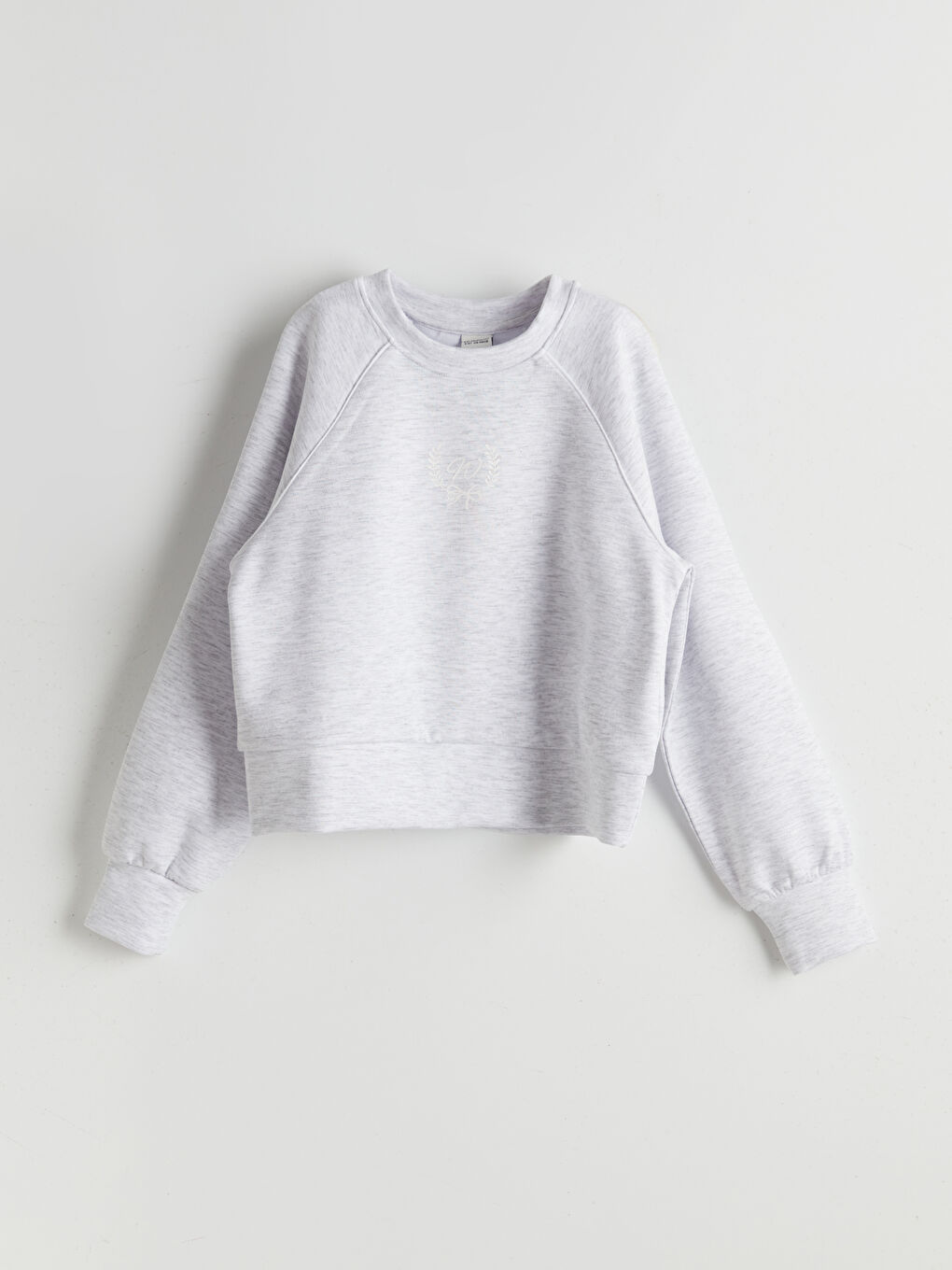 سویتشێرت خۆڵه‌مێشی کچ -W52469Z4-CT3