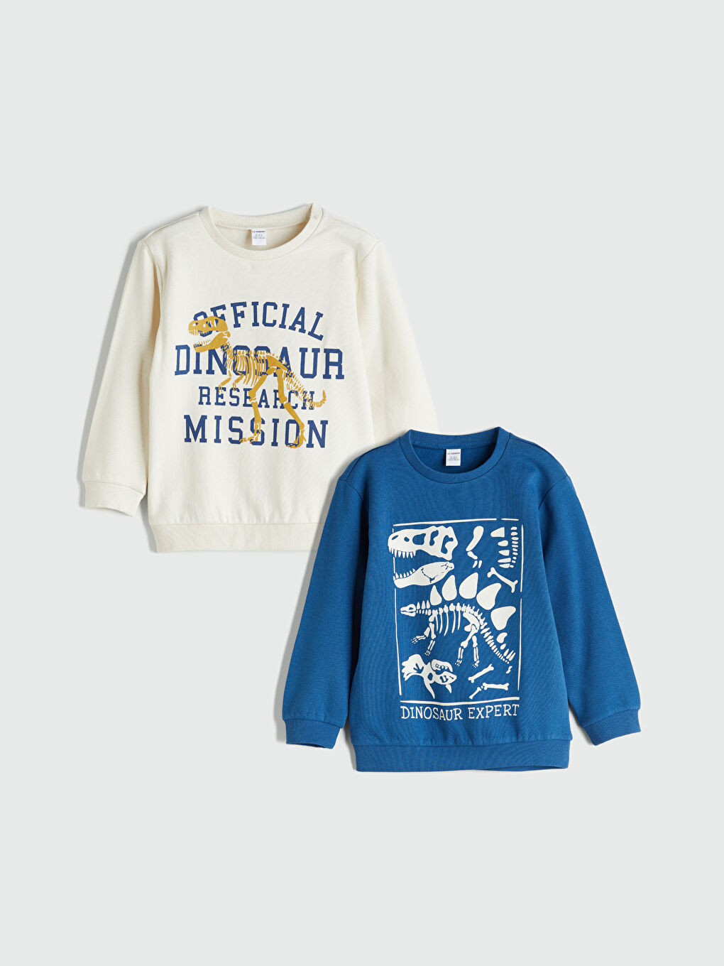 LCW Kids Crew Neck Boys' Sweatshirt 2 Pack -W52578Z1-QVK