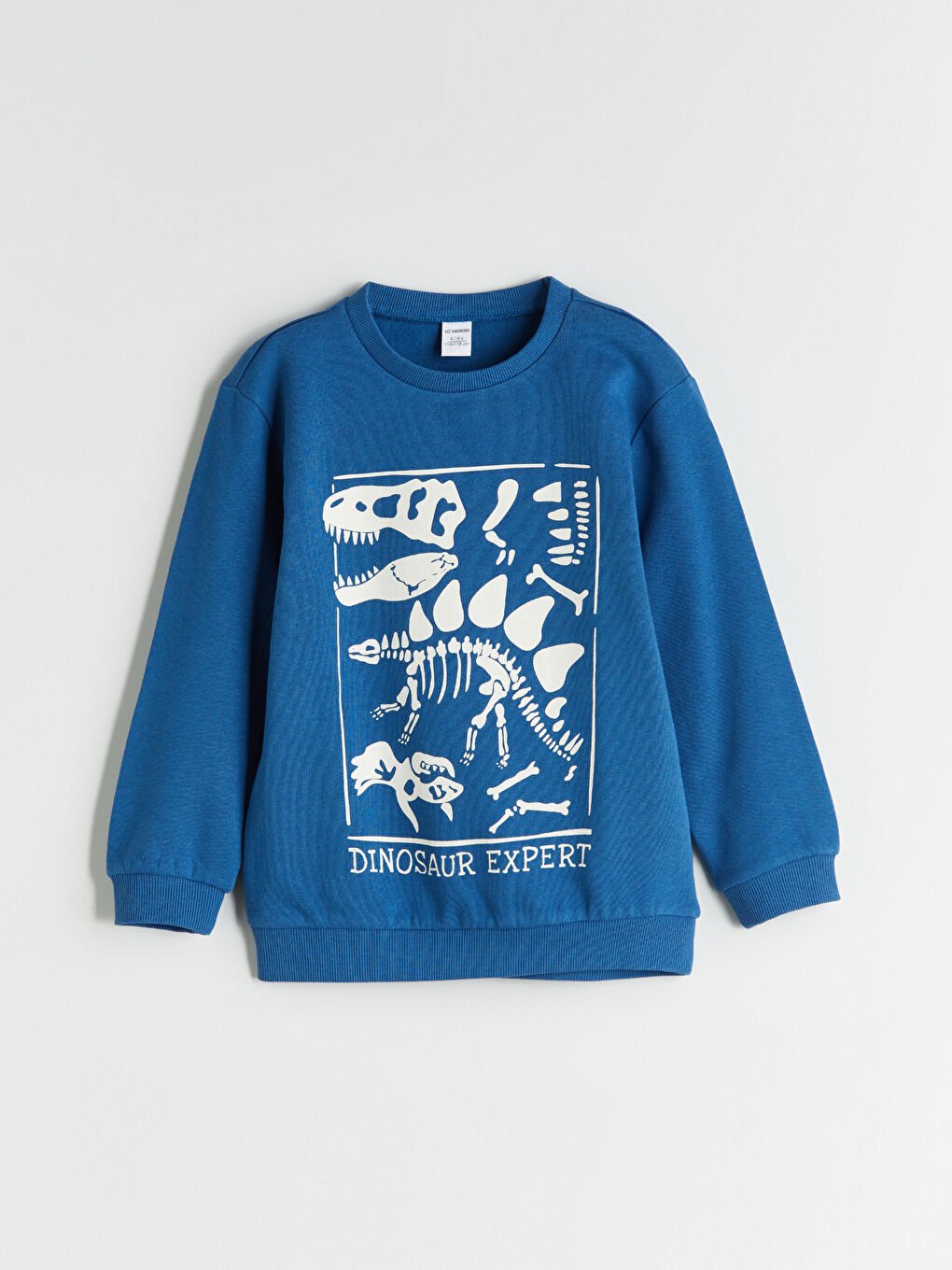 LCW Kids Crew Neck Boys' Sweatshirt 2 Pack -W52578Z1-QVK