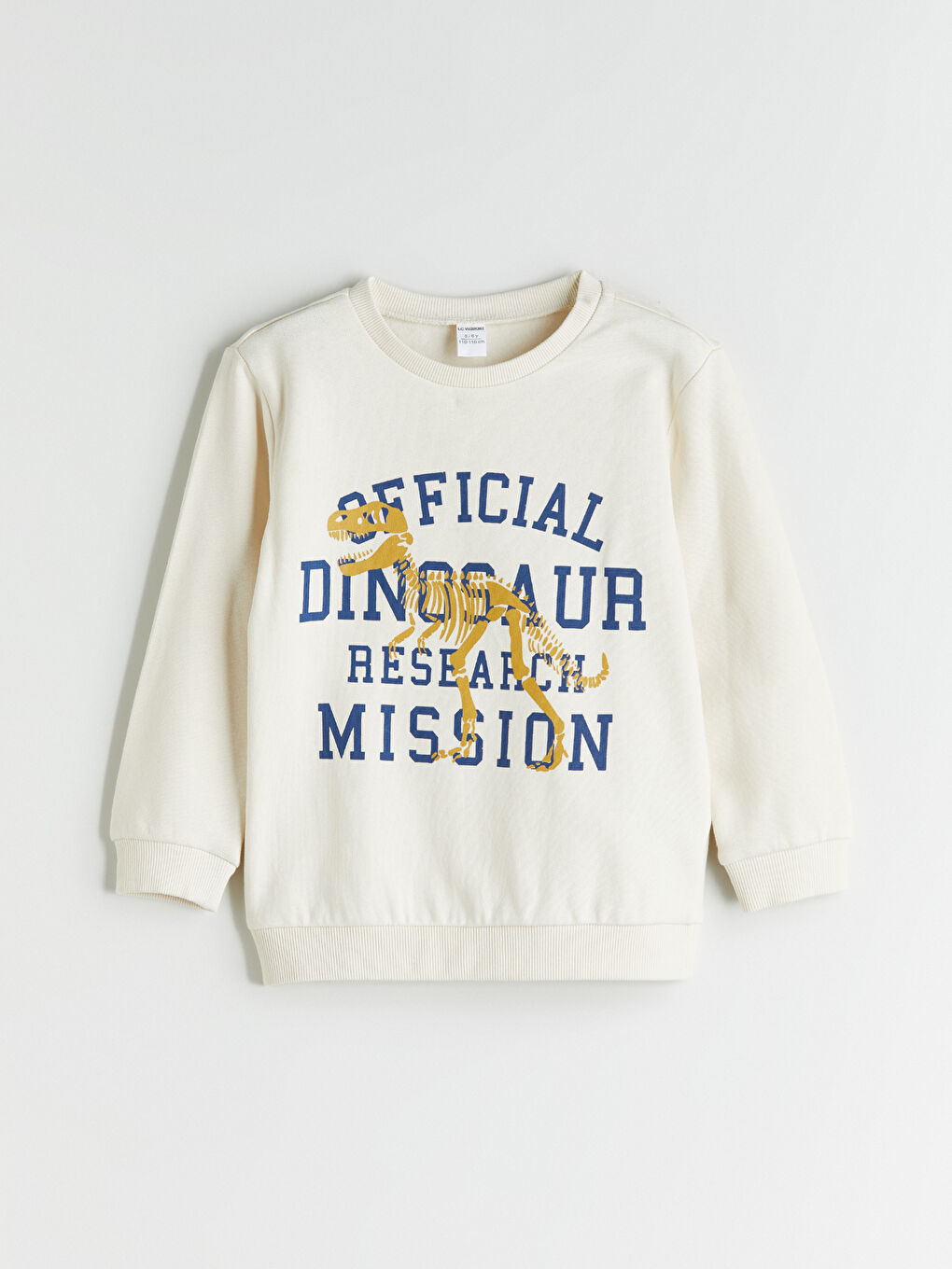 LCW Kids Crew Neck Boys' Sweatshirt 2 Pack -W52578Z1-QVK