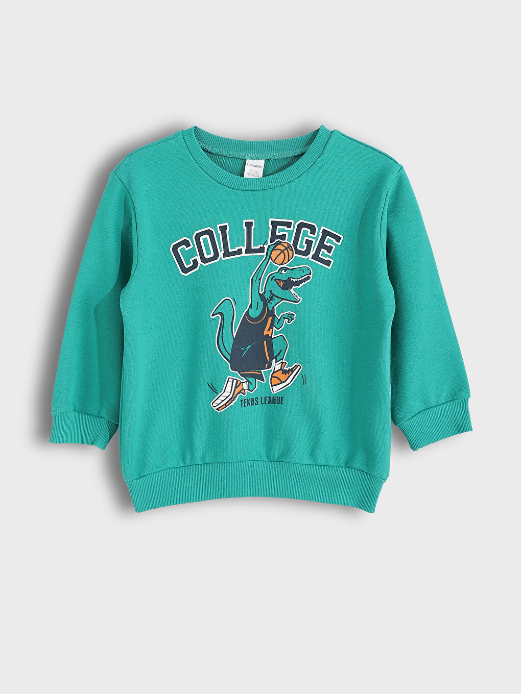 Crew Neck Boys' Sweatshirt