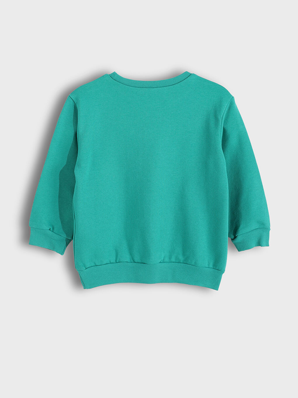 Crew Neck Boys' Sweatshirt-1