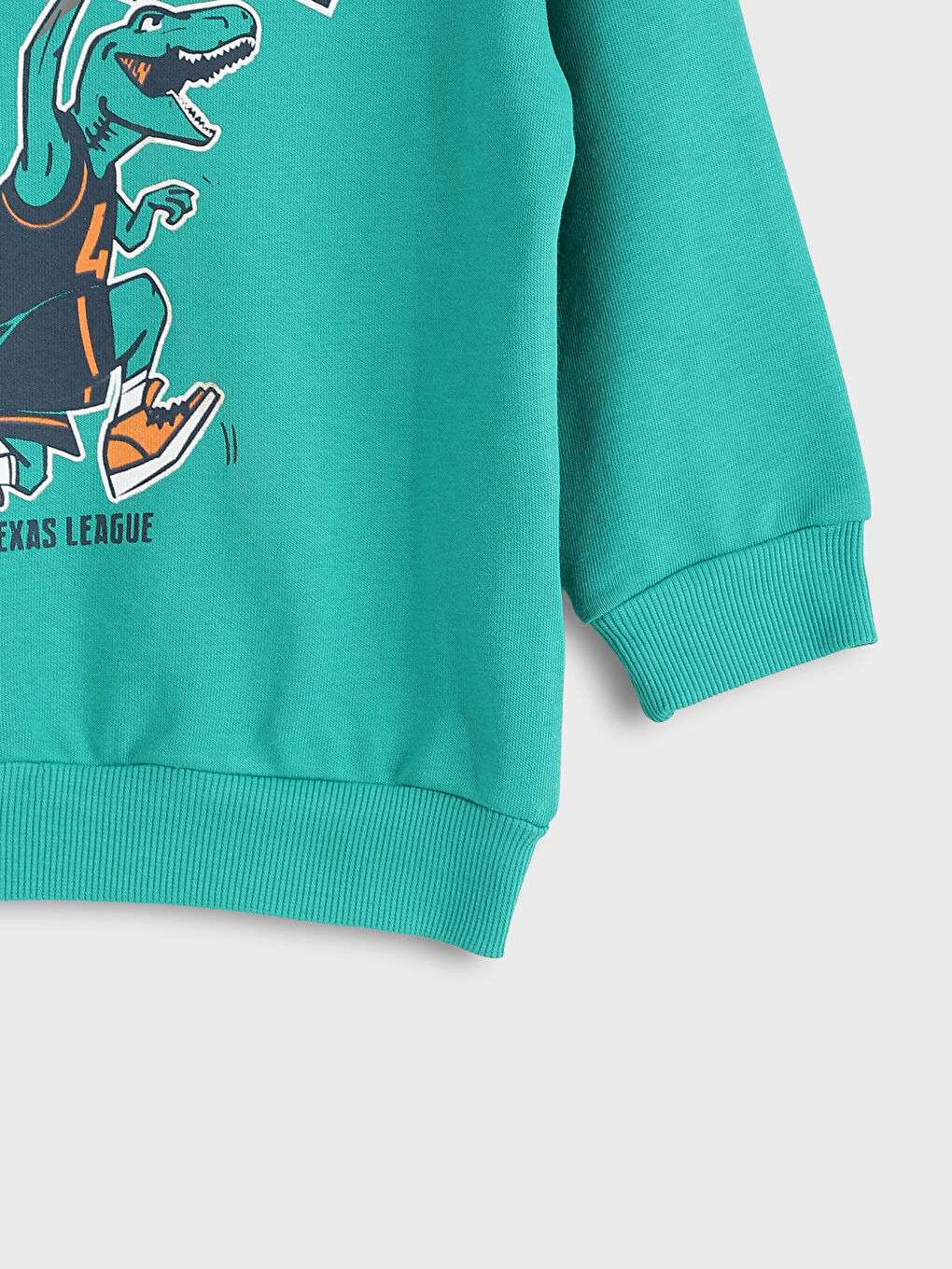 Crew Neck Boys' Sweatshirt-2