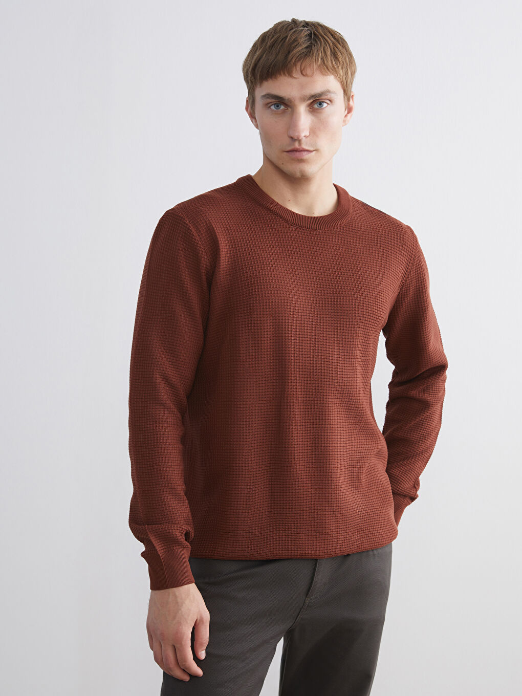 Crew Neck Checkered Men's Knit Sweater