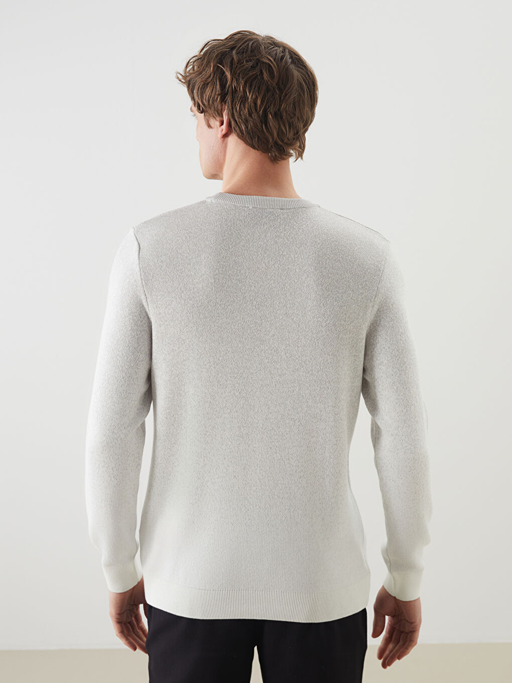 LCW Vision Crew Neck Long Sleeve Men's Tricot Sweater -W53042Z8-LAL