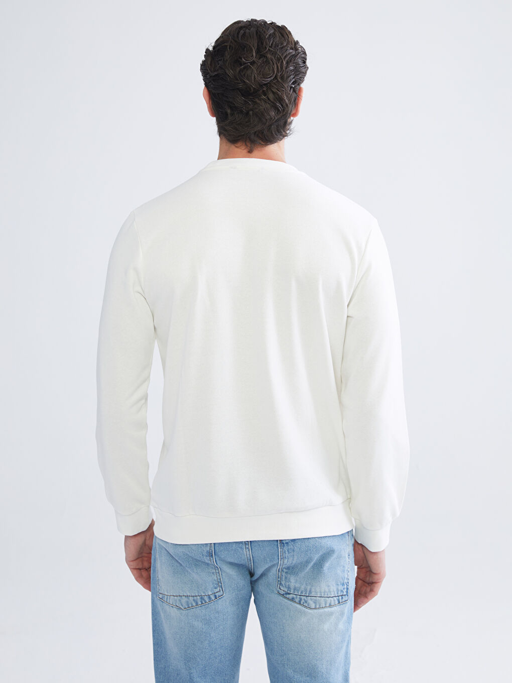 Crew Neck Long Sleeve Printed Men's Sweatshirt-6