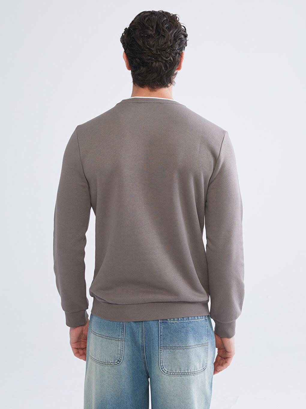 Crew Neck Printed Men's Thick Sweatshirt-3