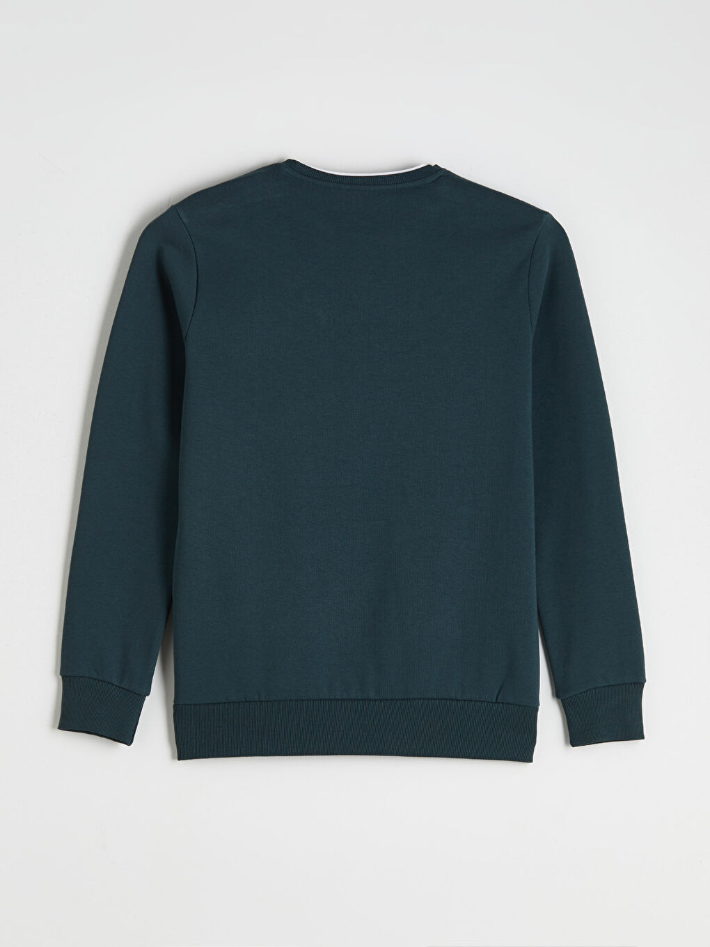 Crew Neck Printed Men's Thick Sweatshirt-5