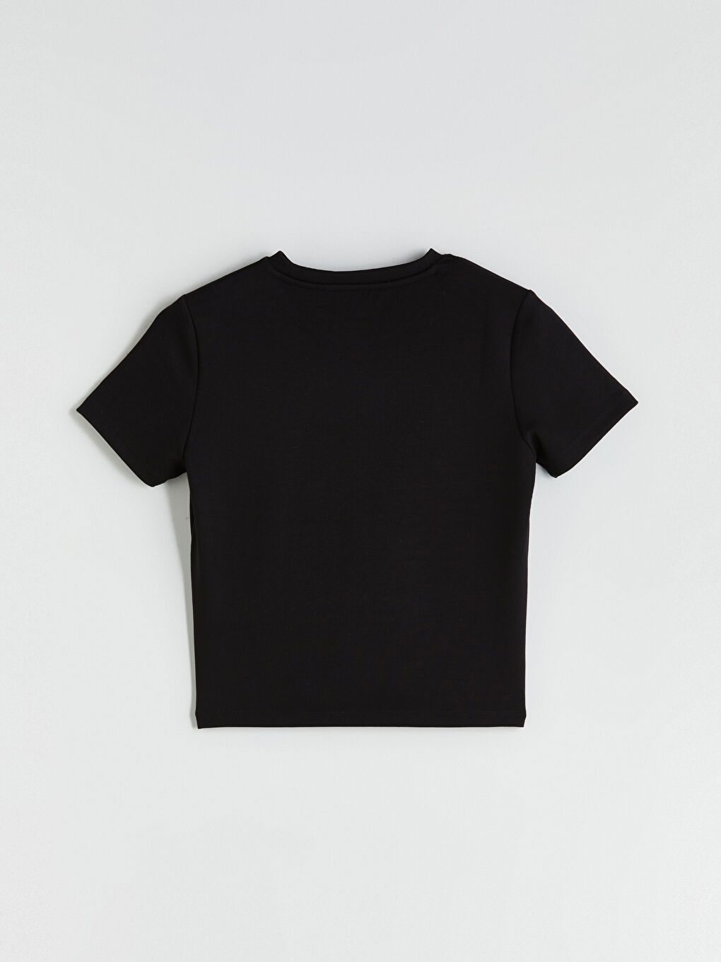 LCW Vision Crew Neck Women's T-Shirt -W53531Z8-CVL