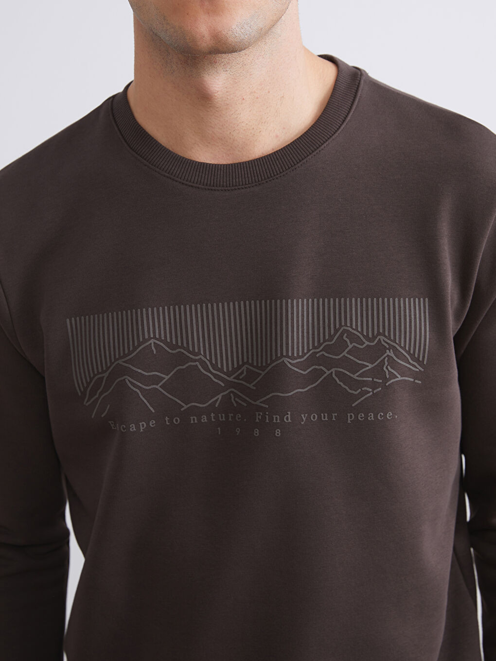 Crew Neck Printed Men's Thick Sweatshirt-2