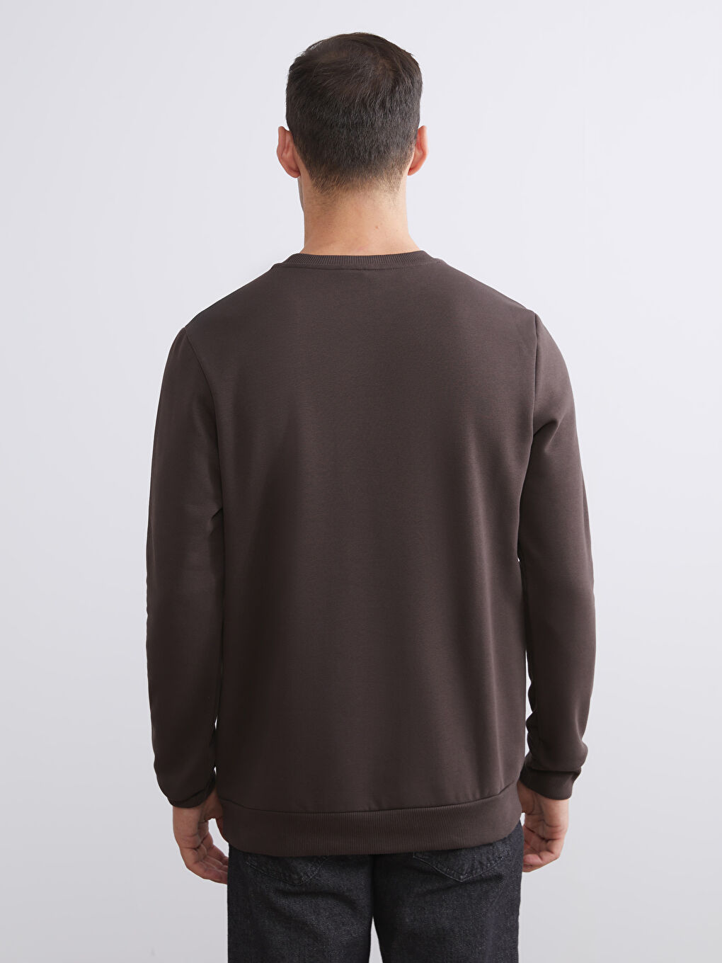 Crew Neck Printed Men's Thick Sweatshirt-3