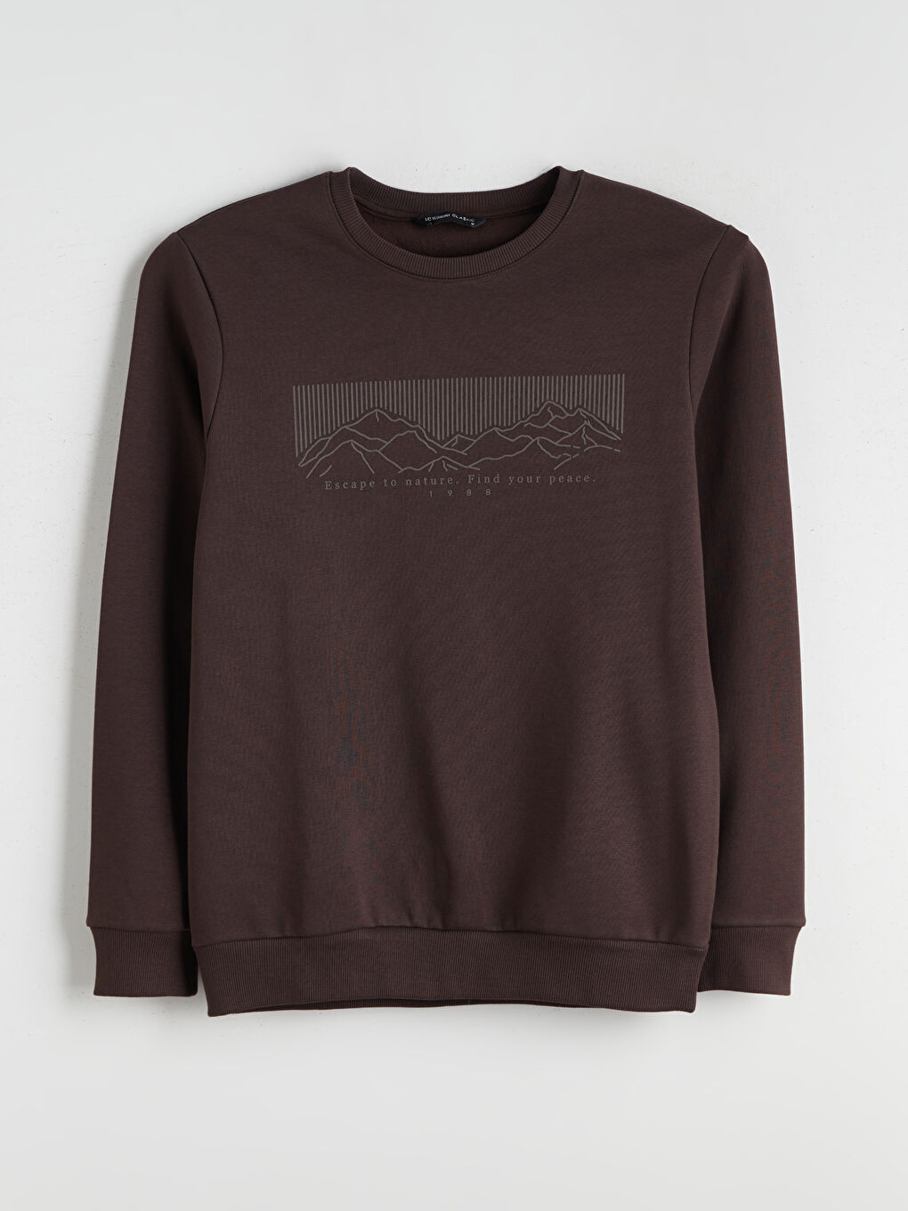 Crew Neck Printed Men's Thick Sweatshirt-4