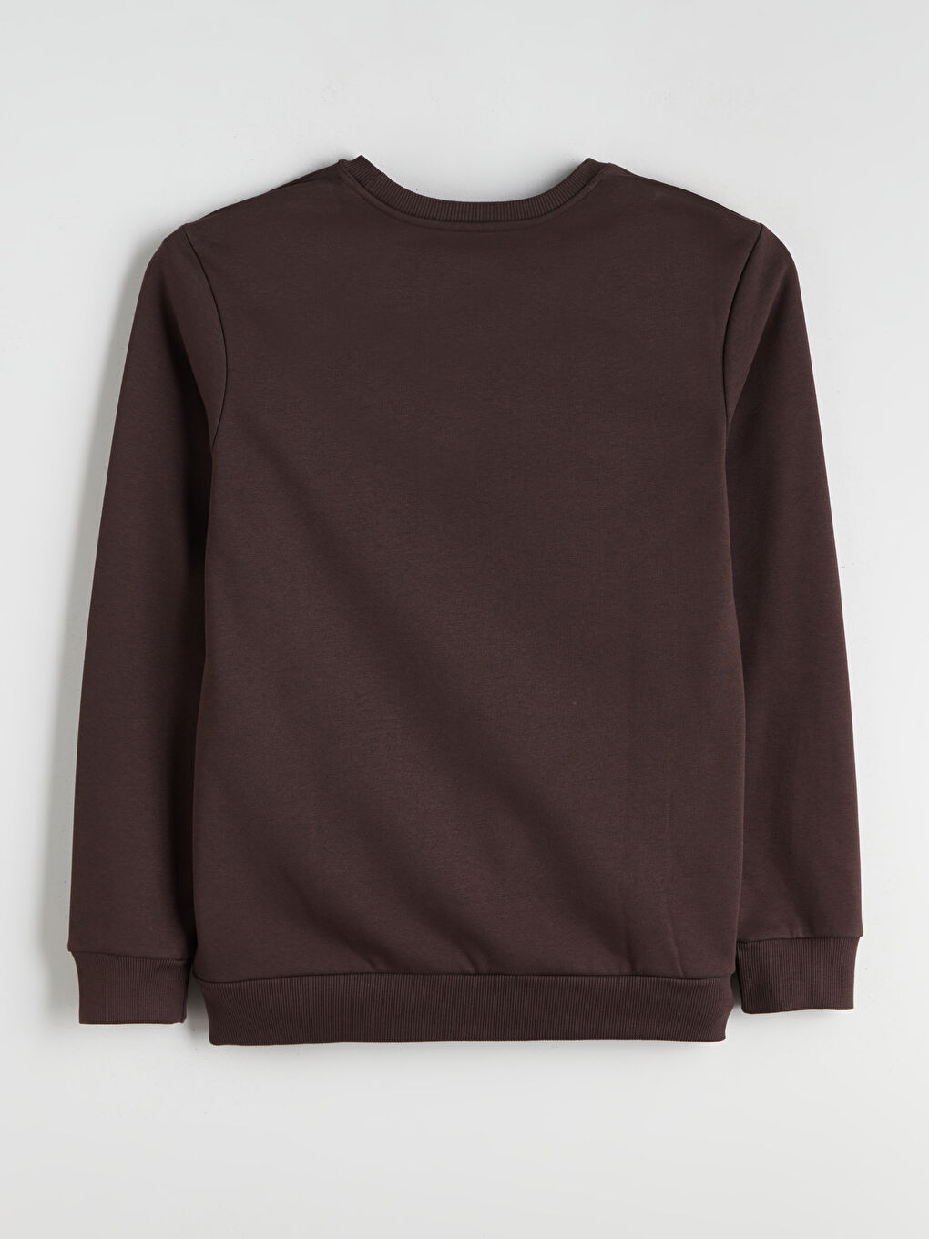 Crew Neck Printed Men's Thick Sweatshirt-5