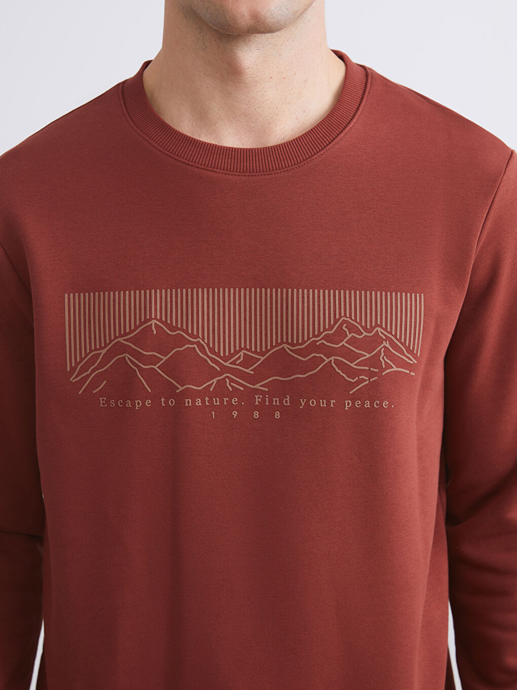 Crew Neck Printed Men's Thick Sweatshirt-2