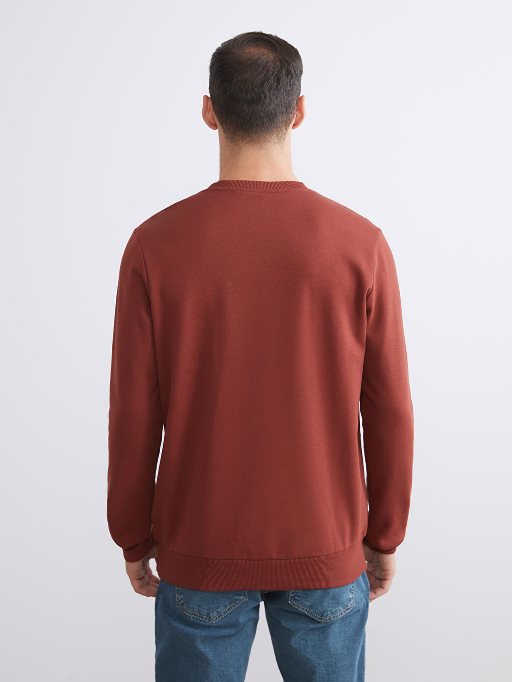 Crew Neck Printed Men's Thick Sweatshirt-3