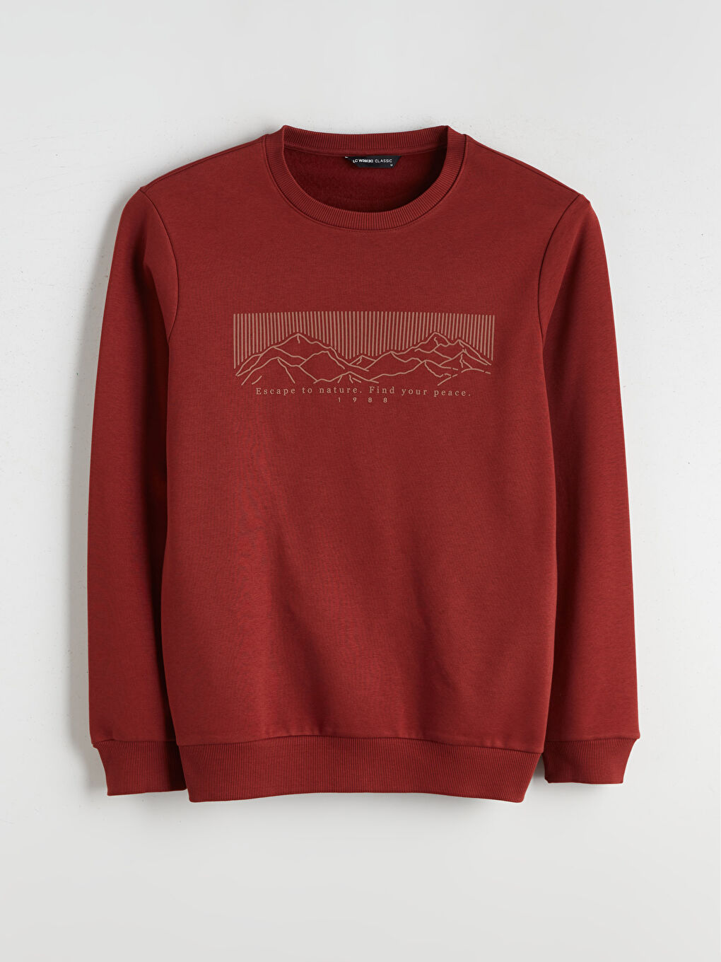 Crew Neck Printed Men's Thick Sweatshirt-4