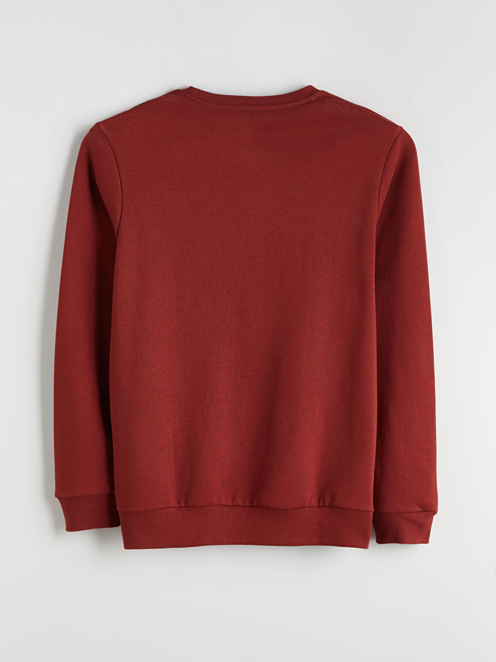 Crew Neck Printed Men's Thick Sweatshirt-5