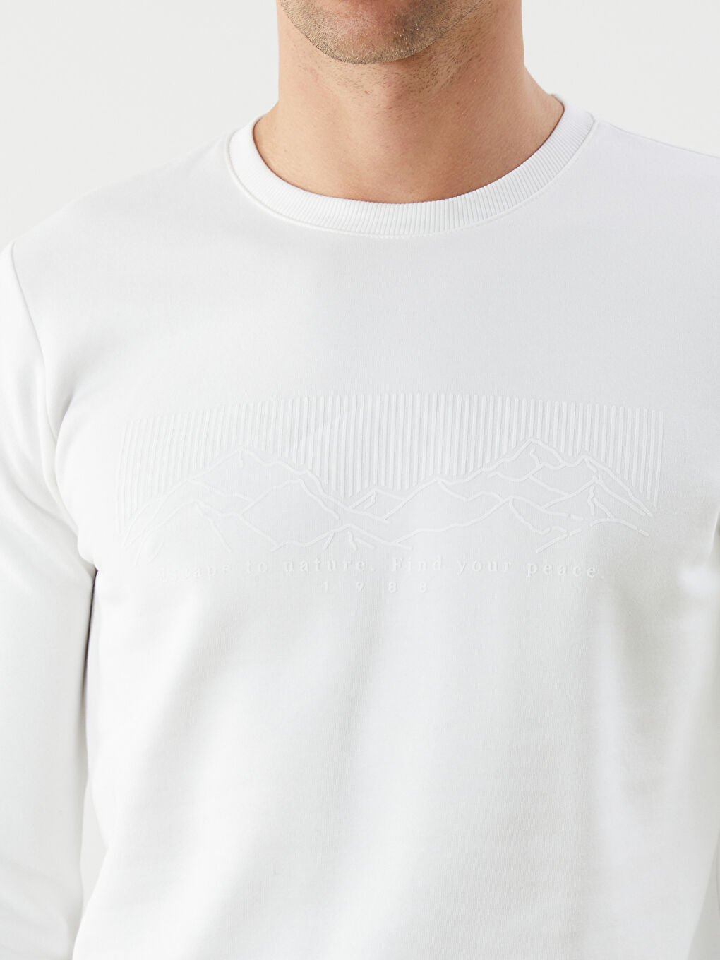 LCWAIKIKI Classic Crew Neck Printed Men's Thick Sweatshirt -W53546Z8-R9J
