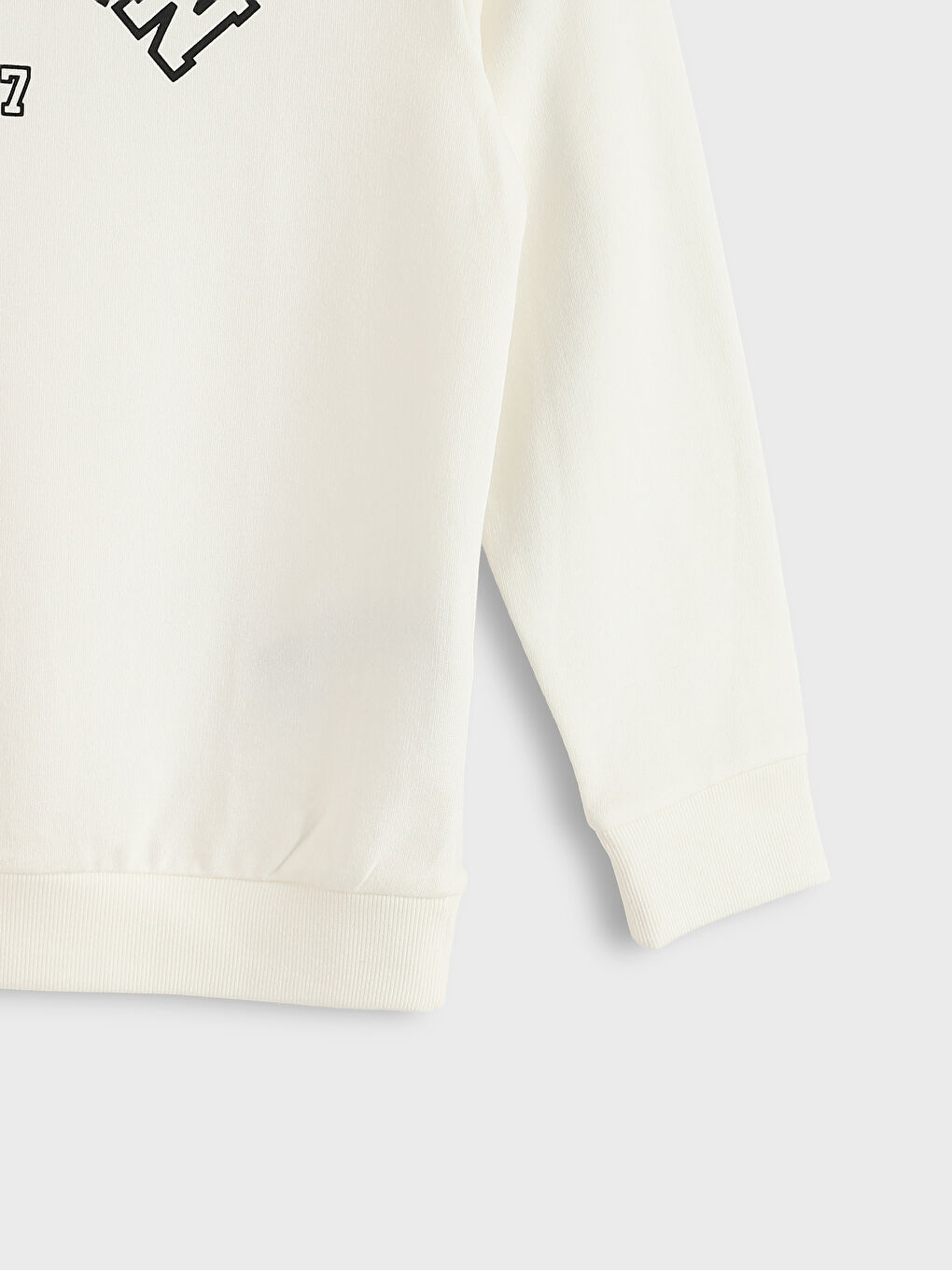 Crew Neck Printed Boys' Sweatshirt-2