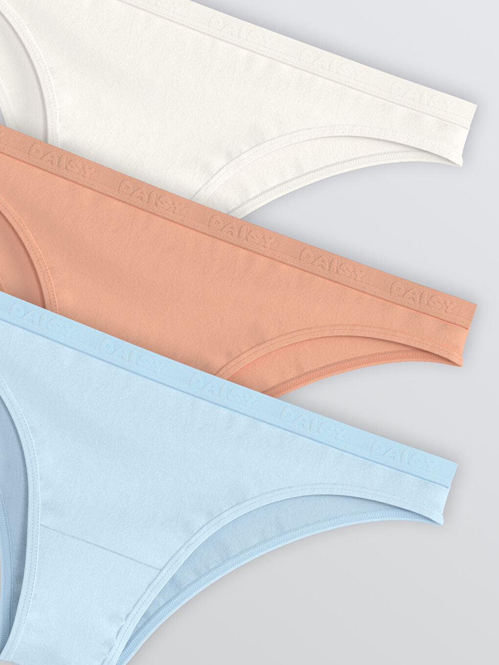 Mavi Baskılı Bikini Külot 3'lü-2