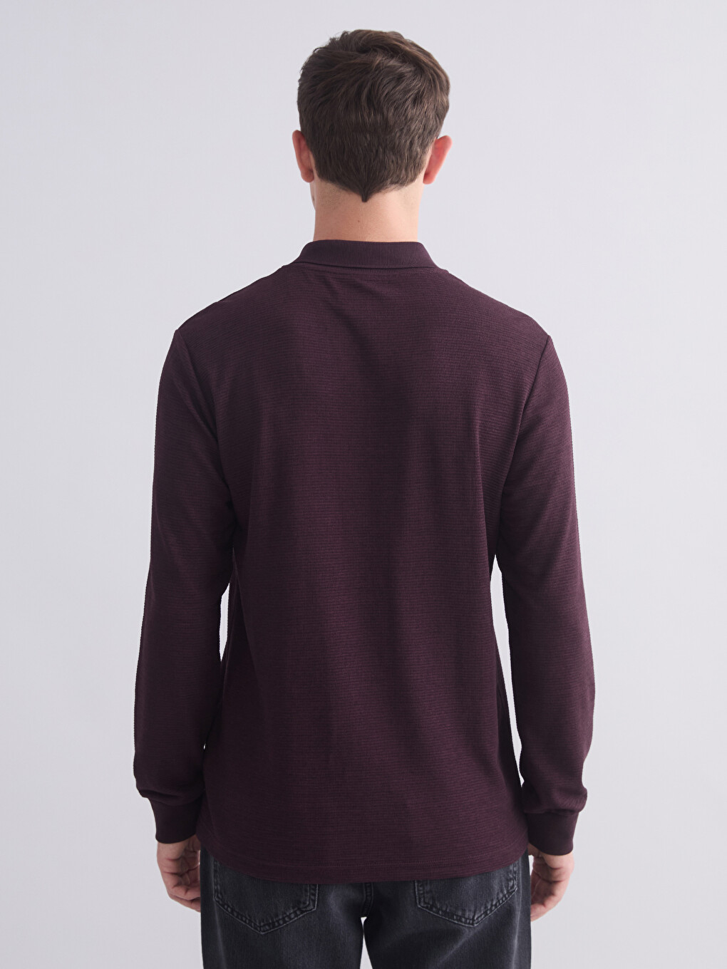 Mürdüm Polo Yaka Uzun Kollu Erkek Sweatshirt-3