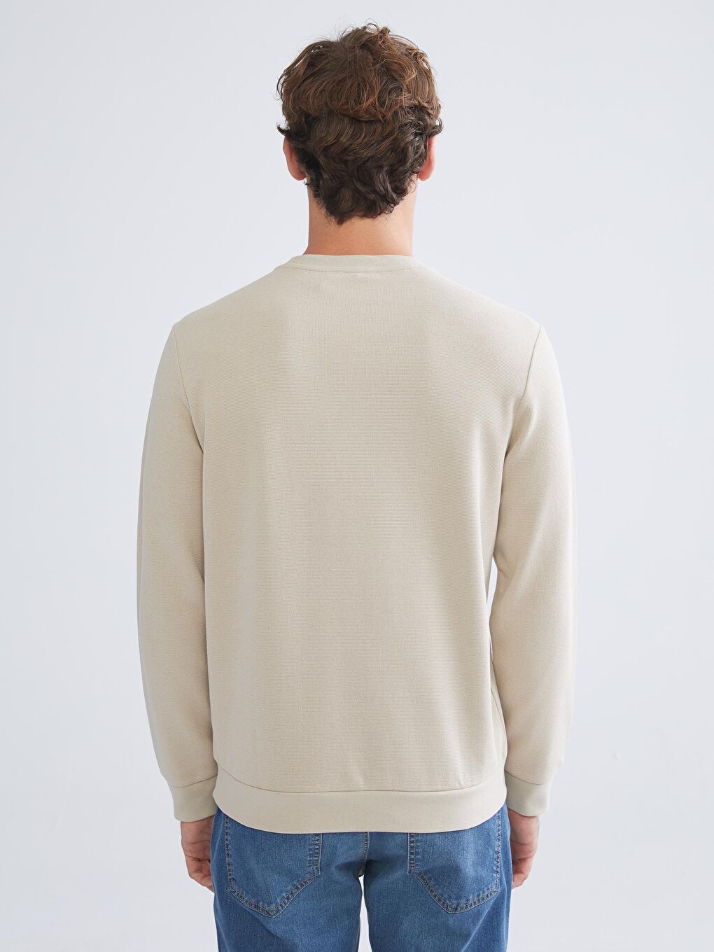 Crew Neck Men's Sweatshirt-3