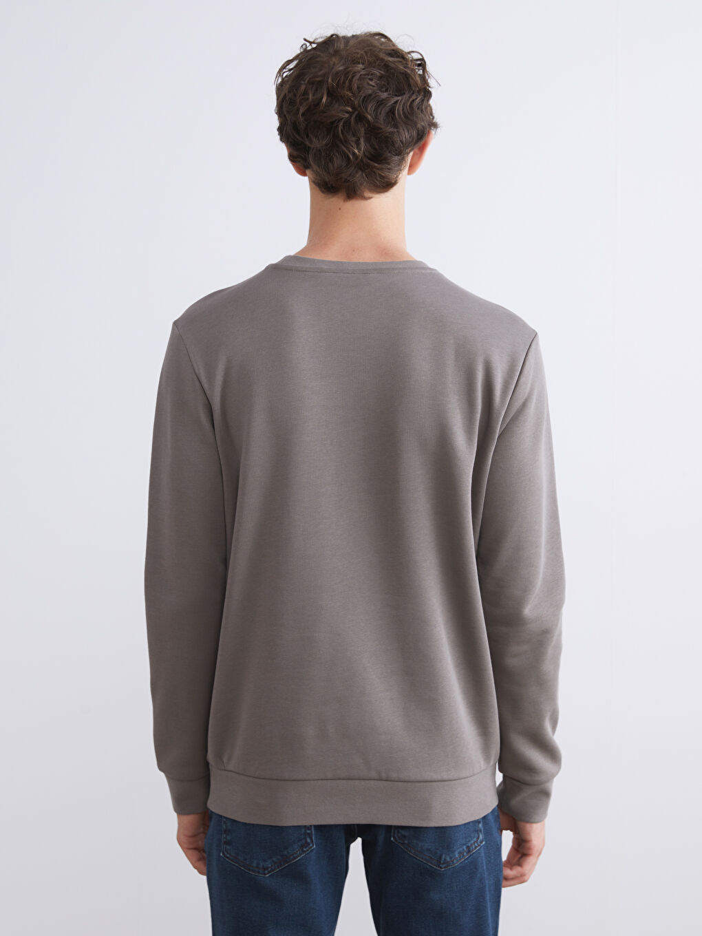 Crew Neck Men's Thick Sweatshirt-3