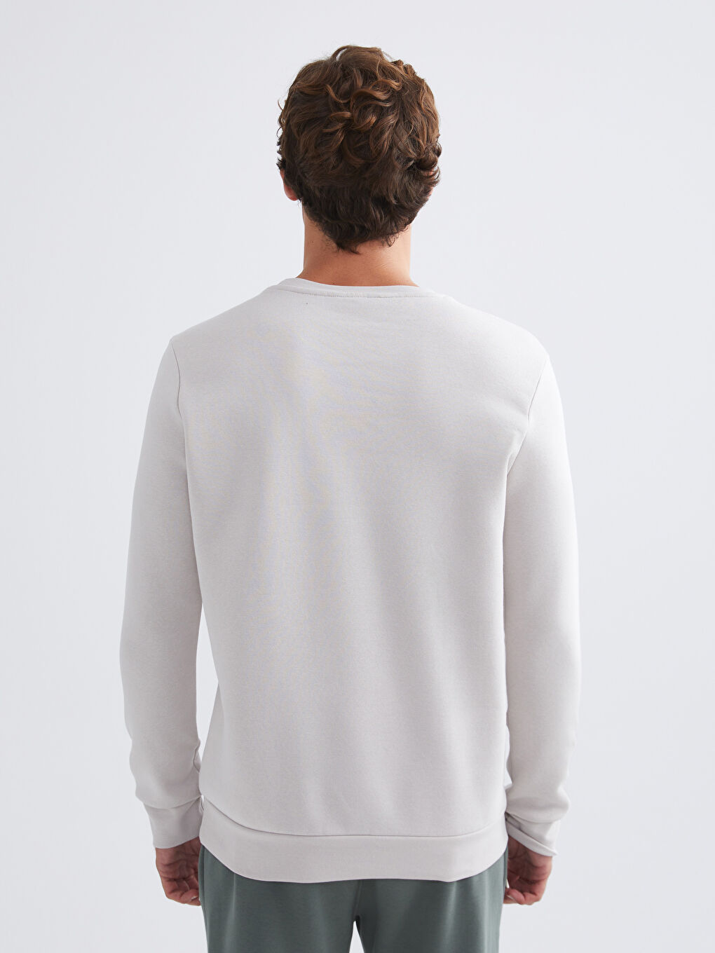 Crew Neck Men's Sweatshirt-3