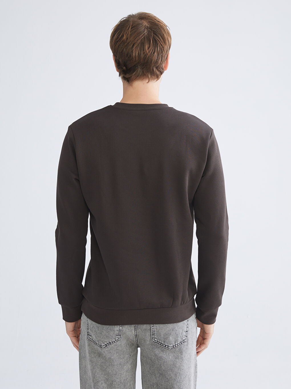 Crew Neck Men's Sweatshirt-3