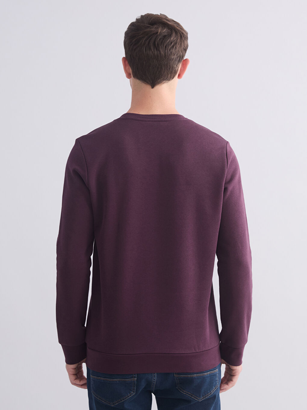 Crew Neck Men's Sweatshirt-3