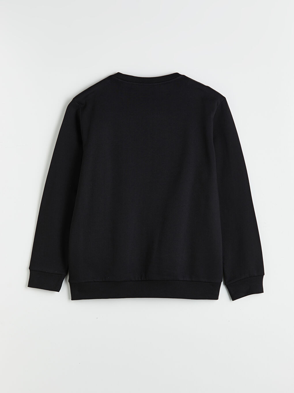 Crew Neck Printed Men's Sweatshirt-5