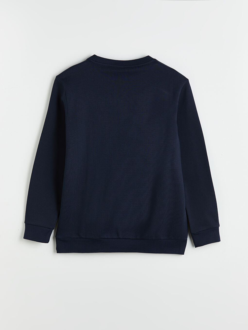 Crew Neck Printed Men's Sweatshirt-5