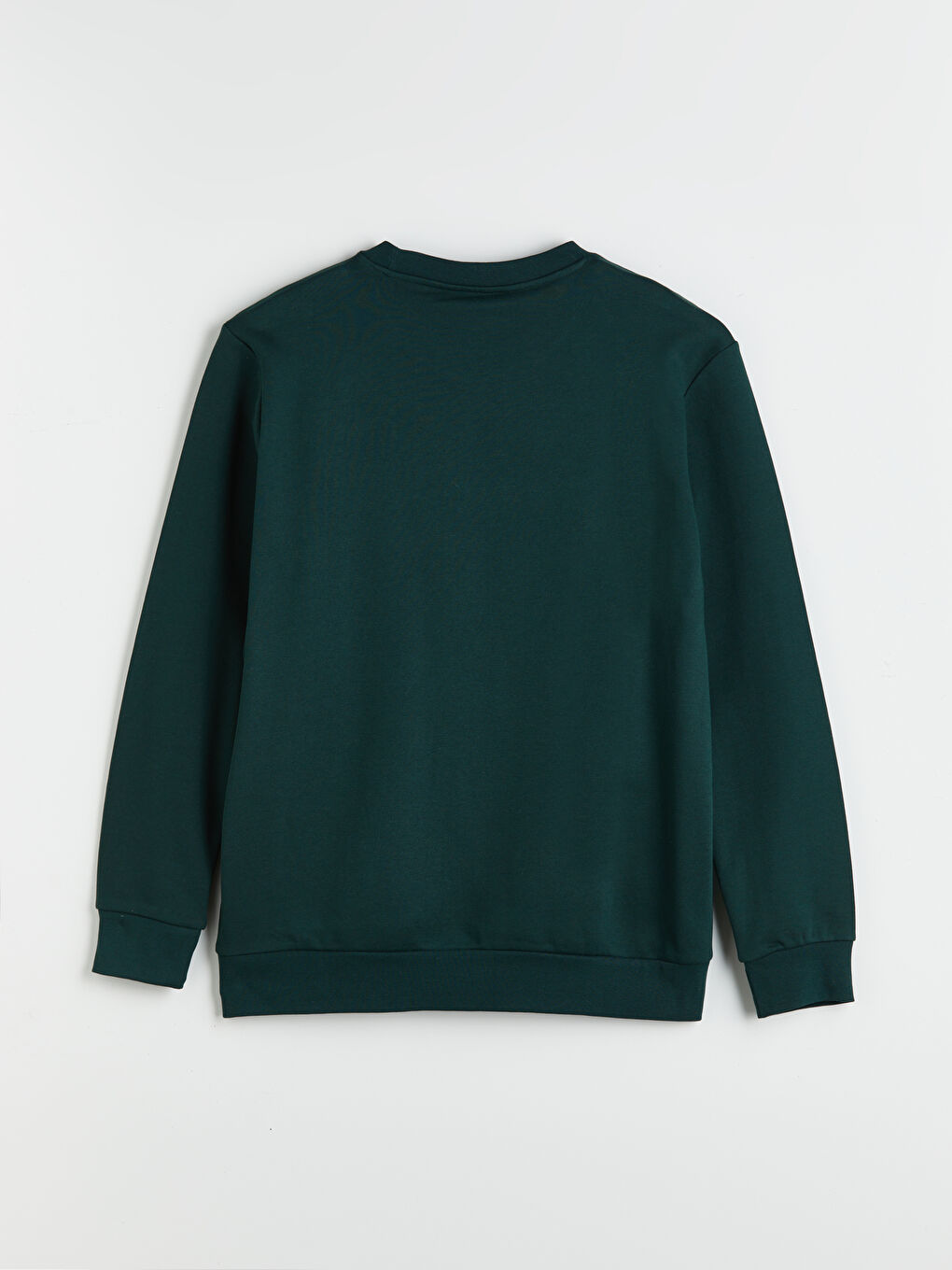 Crew Neck Printed Men's Sweatshirt-5