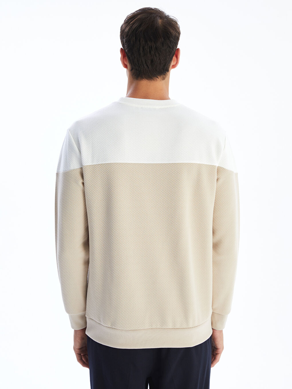 Crew Neck Jacquard Men's Sweatshirt-3