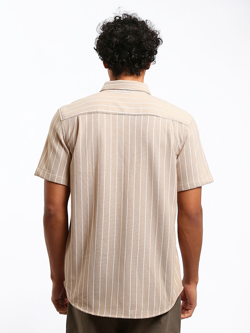 Regular Fit Striped Men's Shirt-4