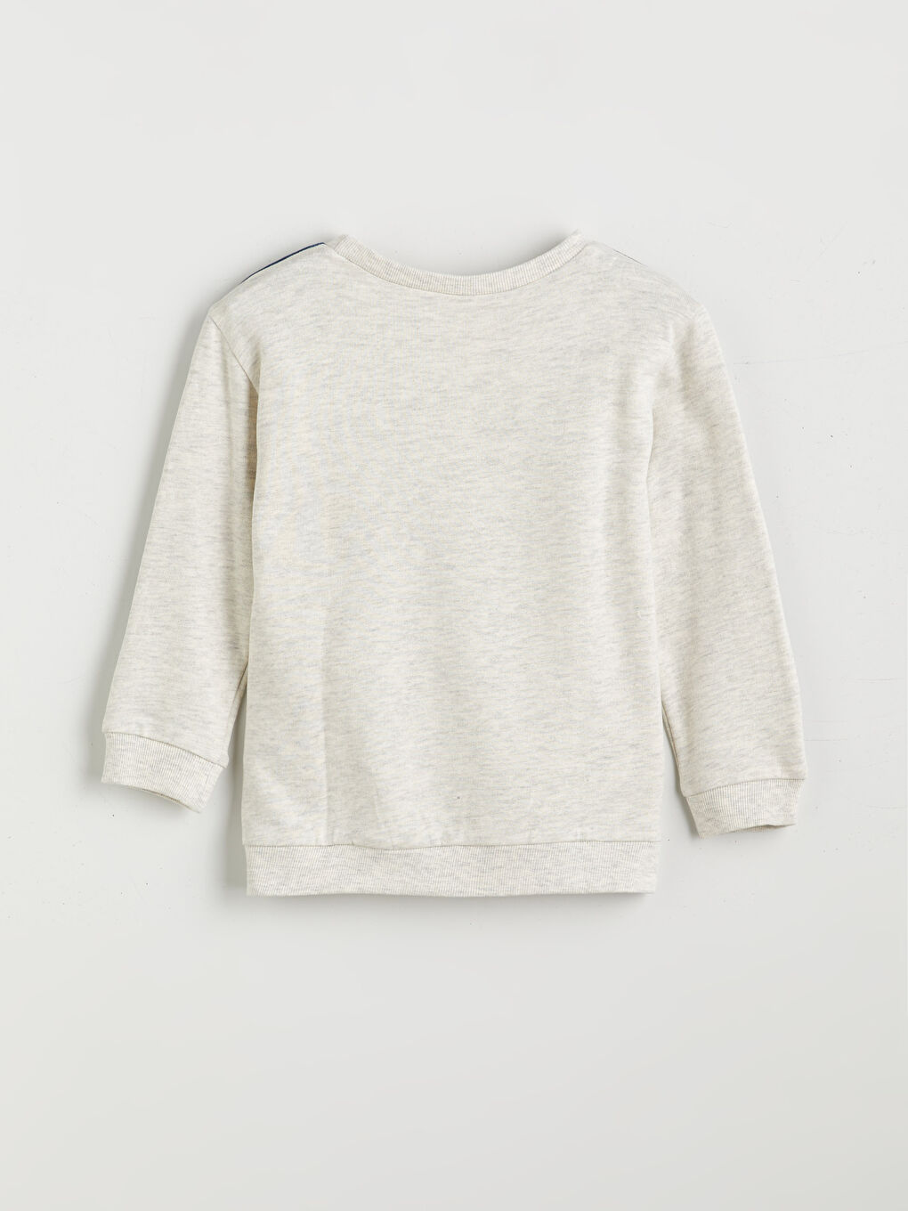 LCW Kids Crew Neck Boys' Sweatshirt 2 Pack -W55848Z1-HPS