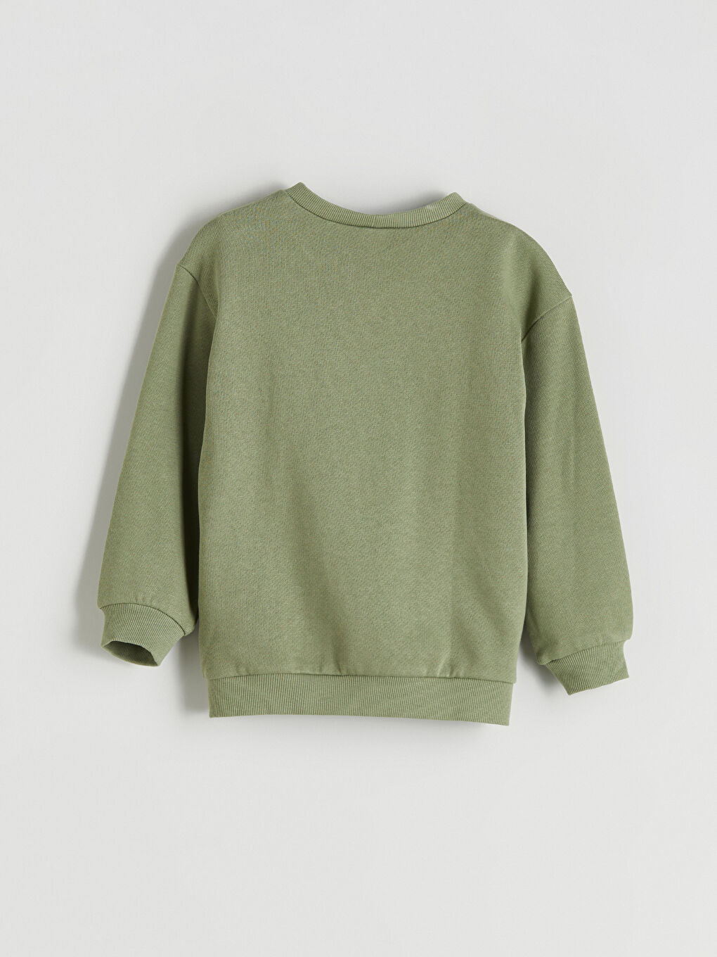 Crew Neck Printed Boys' Sweatshirt-2