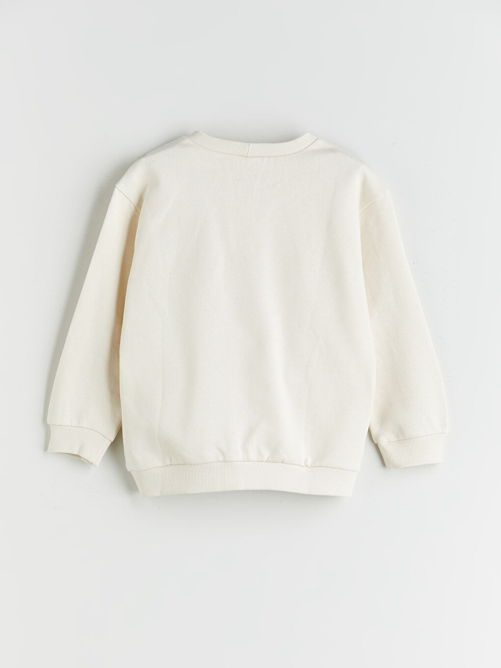 Crew Neck Printed Boys' Sweatshirt-1