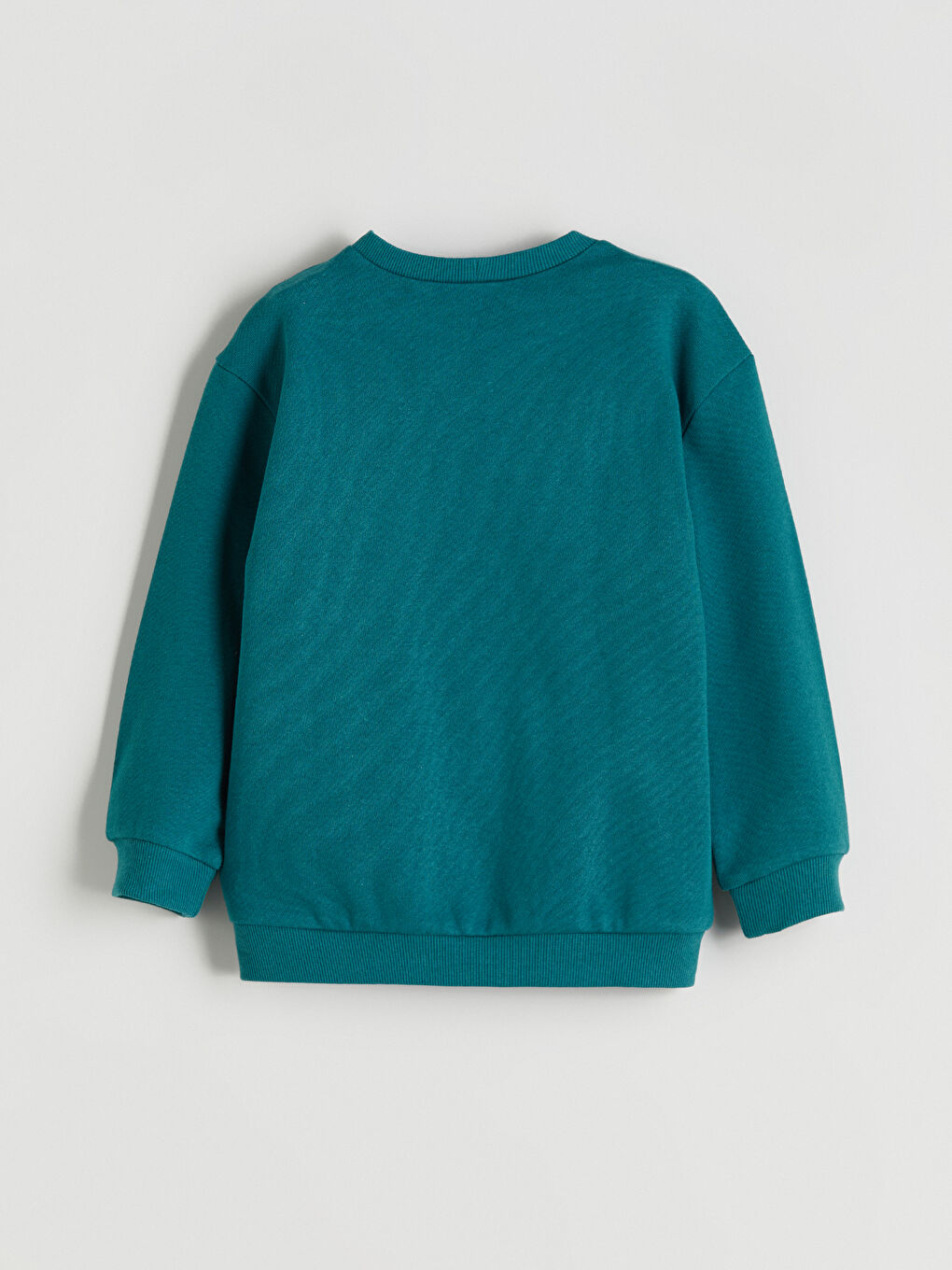 Crew Neck Printed Boys' Sweatshirt-2