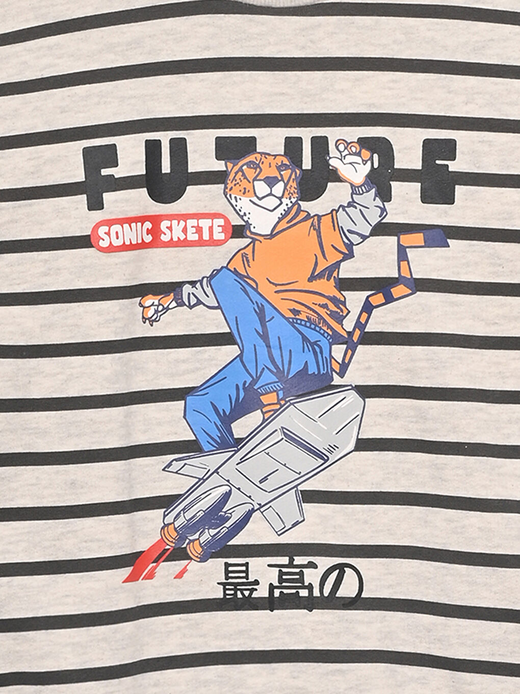 Crew Neck Striped Boys' Sweatshirt-2