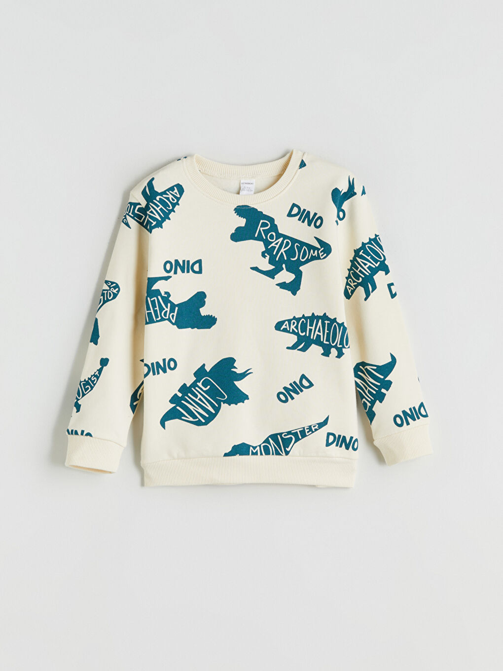 Boy BEIGE Sweatshirt