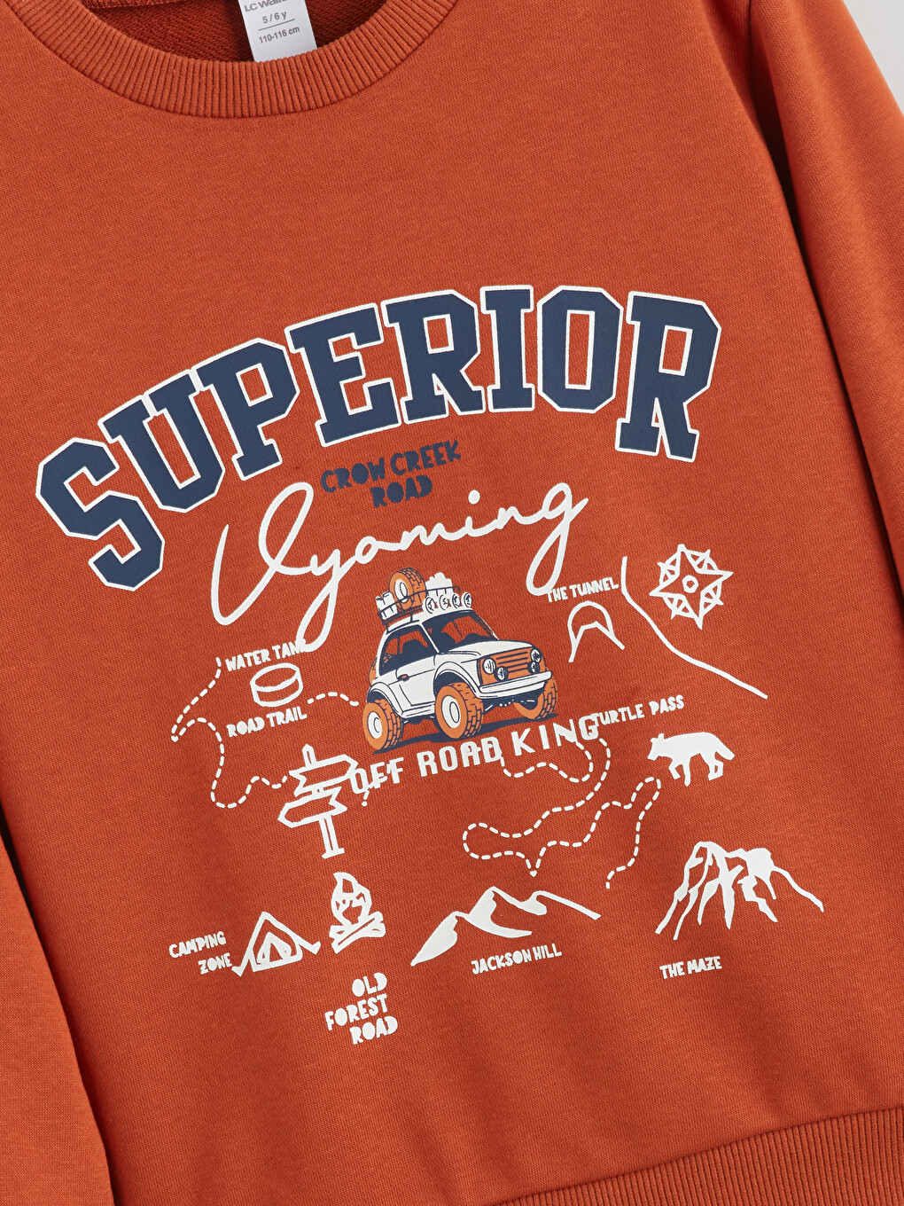 Turuncu Baskılı Erkek Çocuk Sweatshirt-2