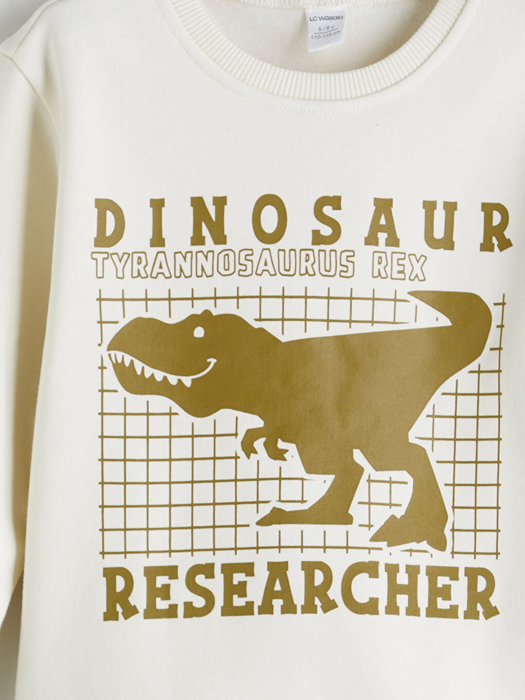 Bej Çizgili Erkek Çocuk Kalın Sweatshirt-2