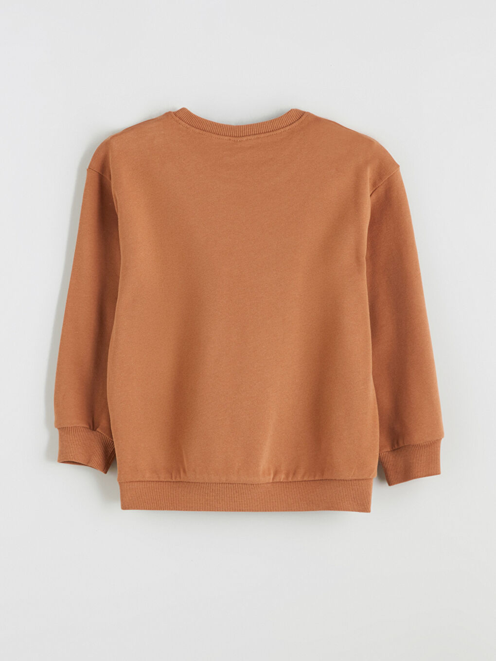 Boy BROWN Sweatshirt-3