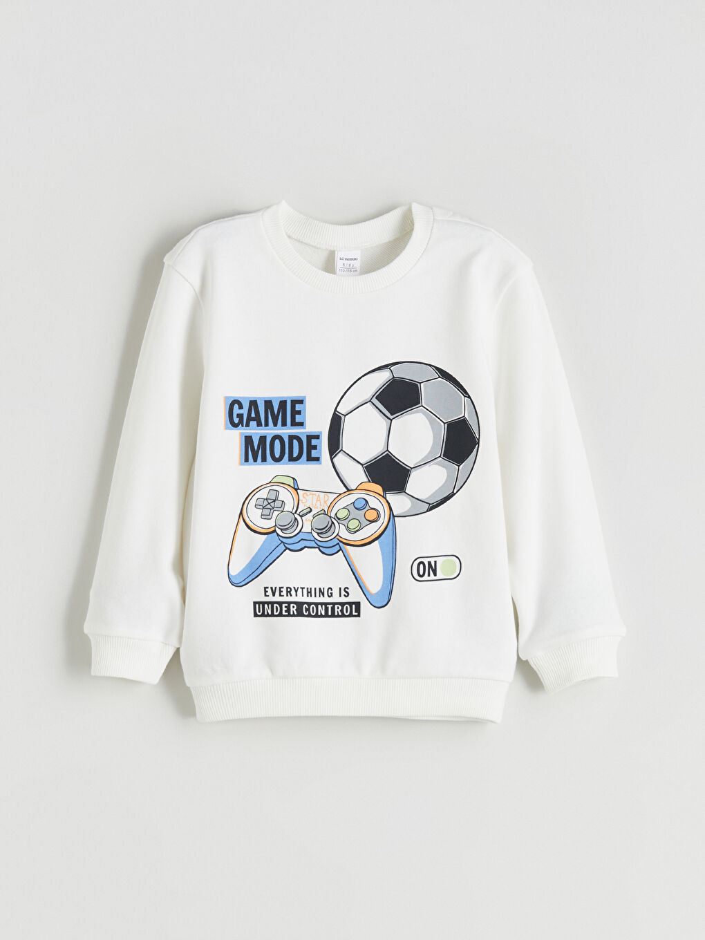 Crew Neck Boys' Thick Sweatshirt 2 Pack-1