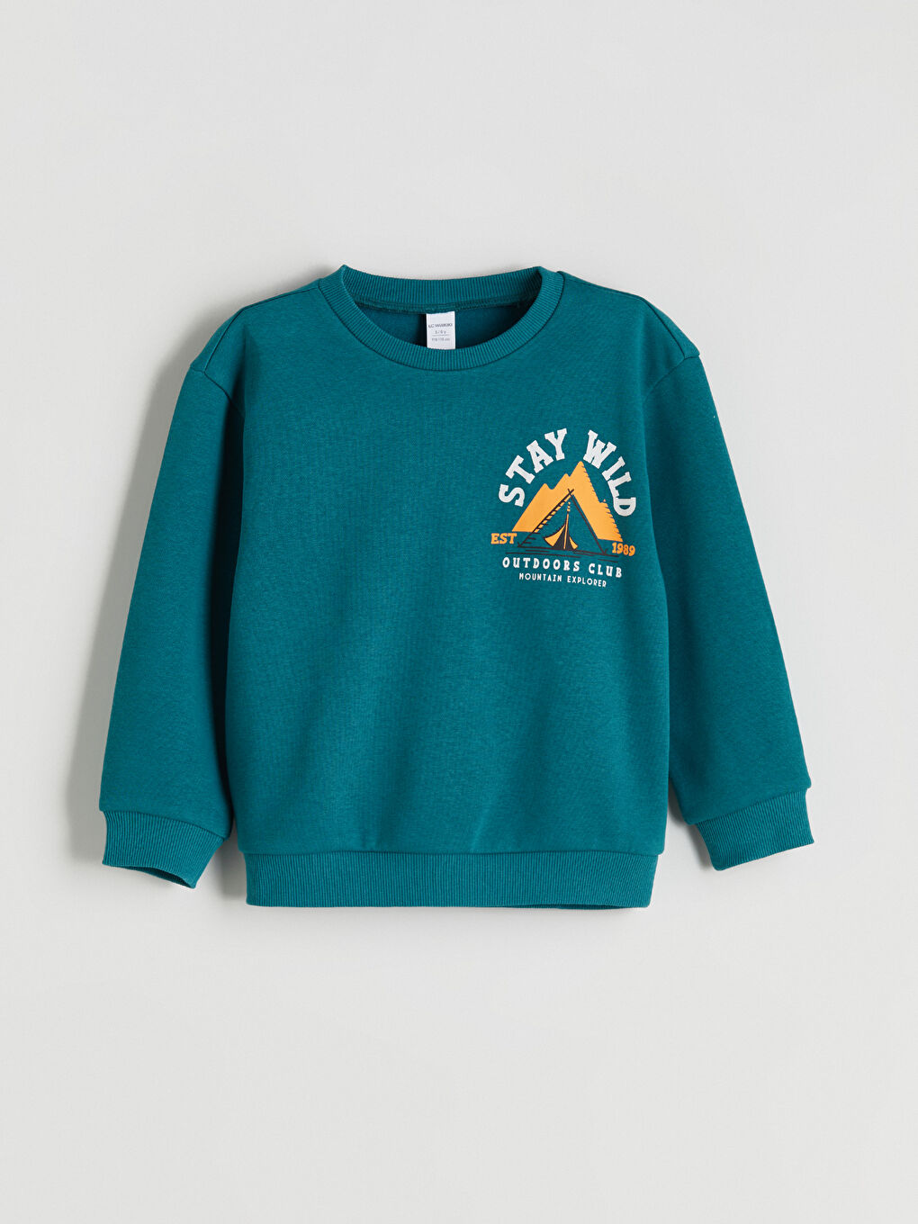 Crew Neck Printed Boys' Sweatshirt 2 Pack-1