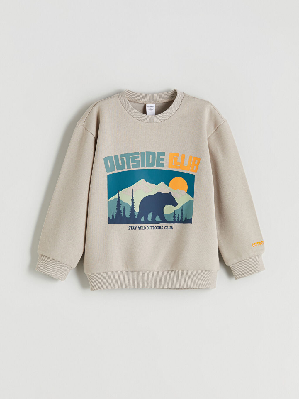 Crew Neck Printed Boys' Sweatshirt 2 Pack-4