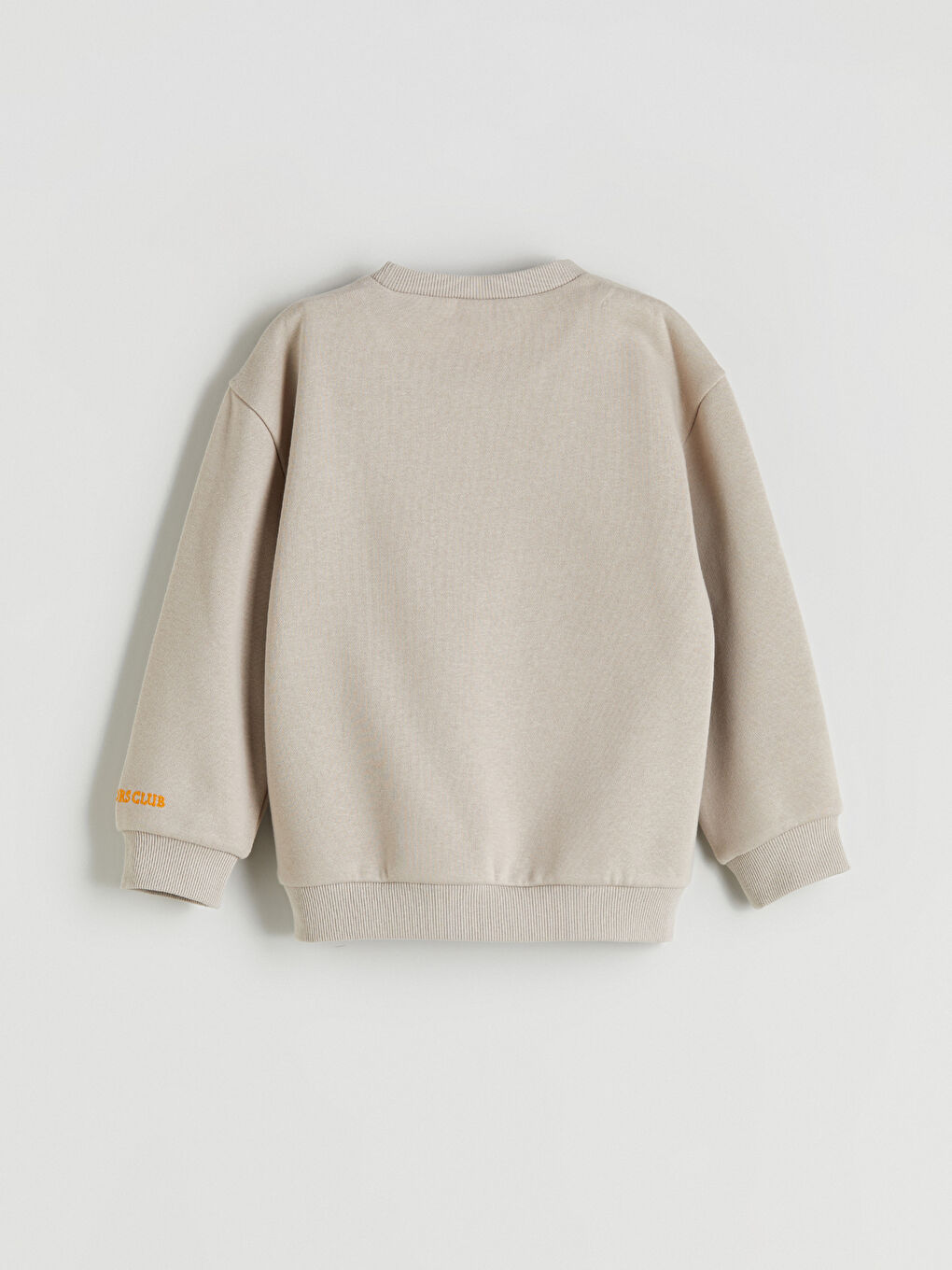 Crew Neck Printed Boys' Sweatshirt 2 Pack-7