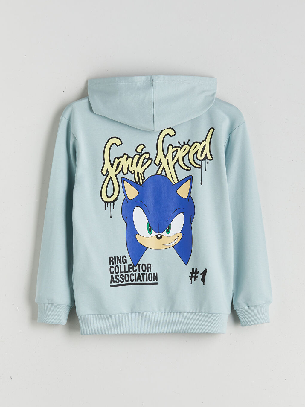 Hooded Sonic Printed Boys' Sweatshirt-1